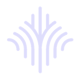 web content