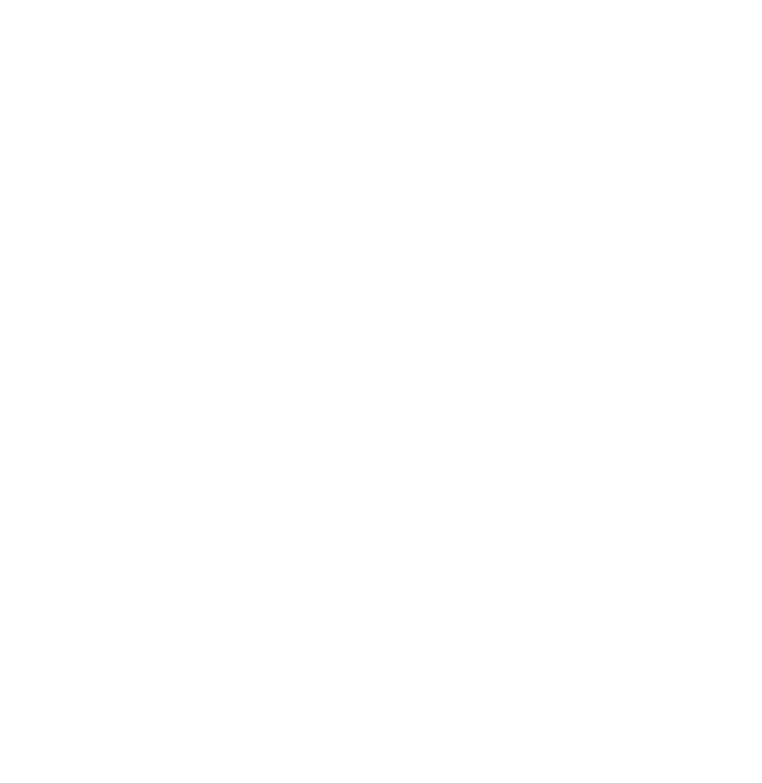 CSD logo