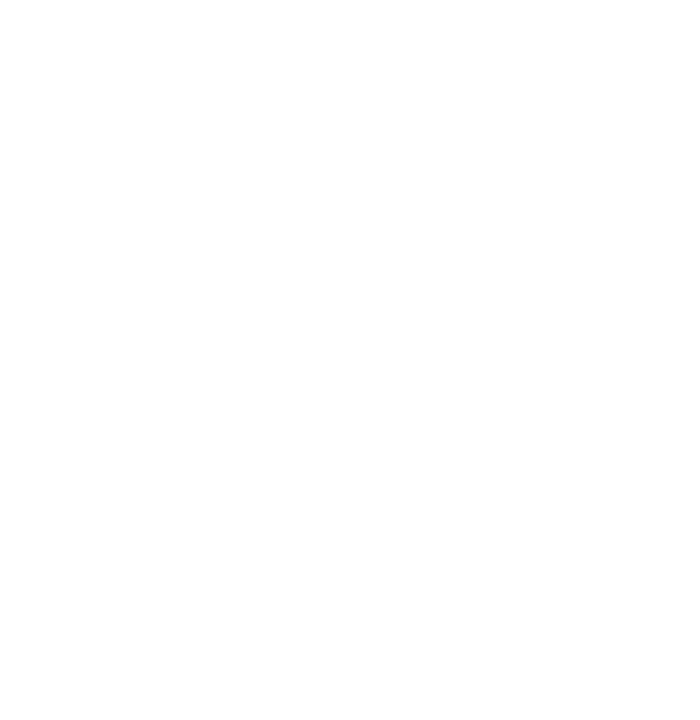FF logo