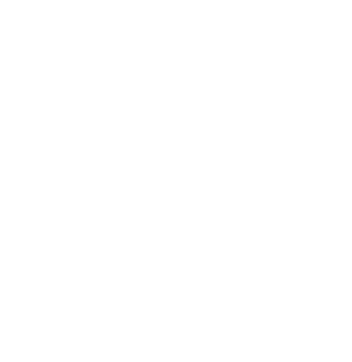 Flanet logo white