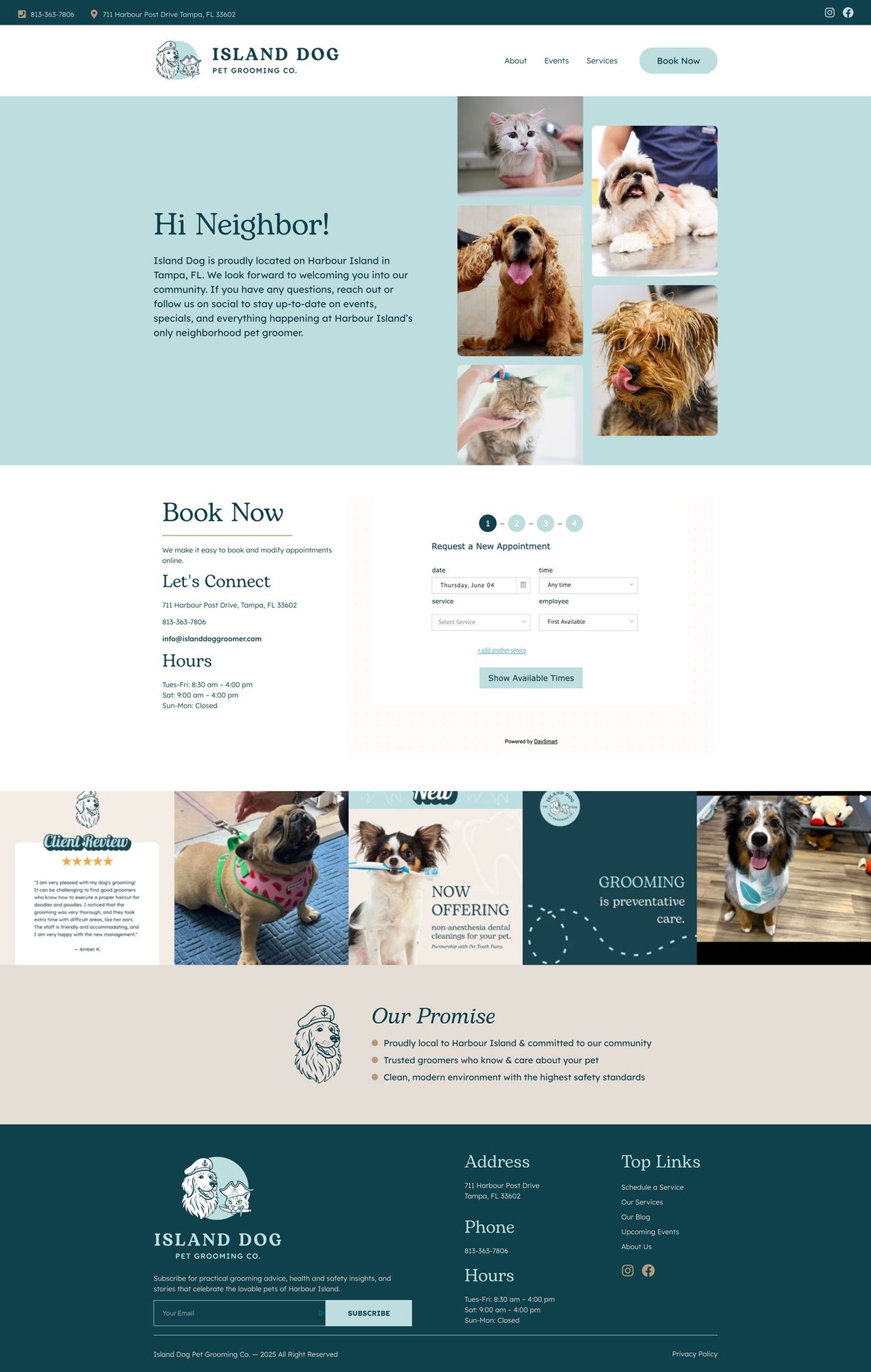 Island Dog | LP