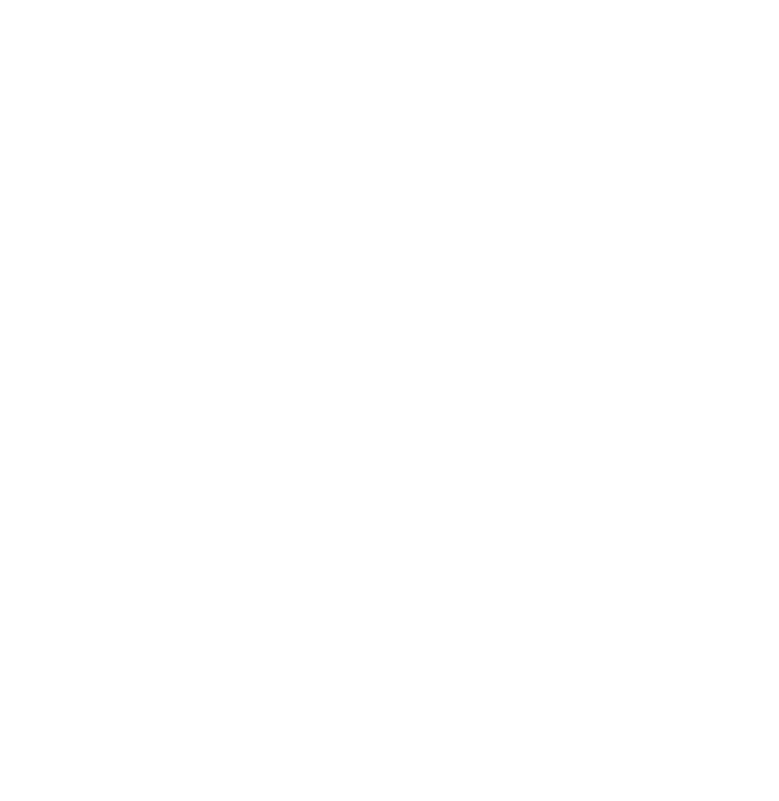 Skyllful logo white