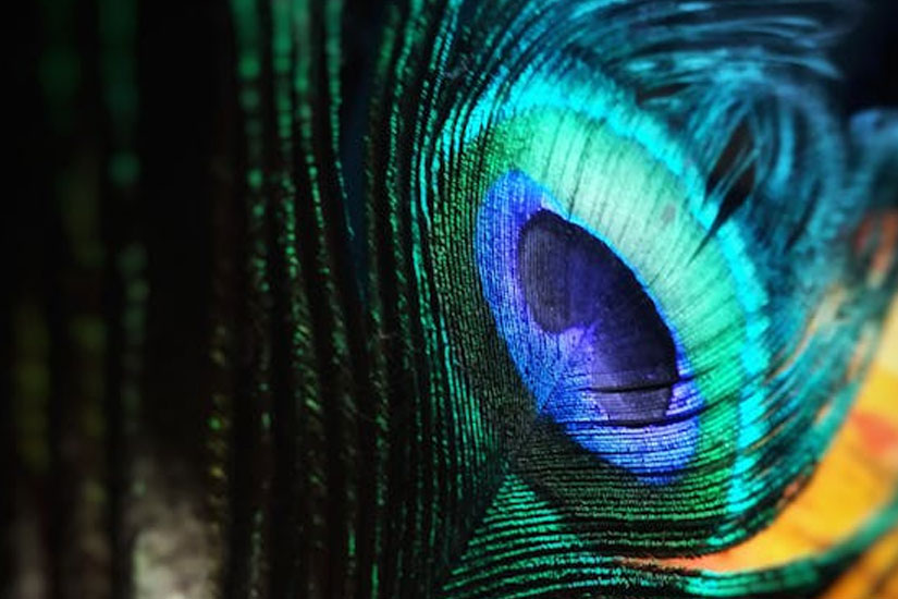 The Evolution of Search: From SEO to GEO