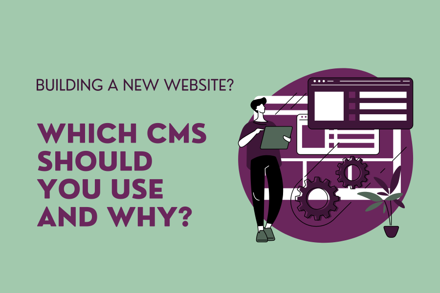 Building a New Website? Which CMS Should You Use and Why?&nbsp;