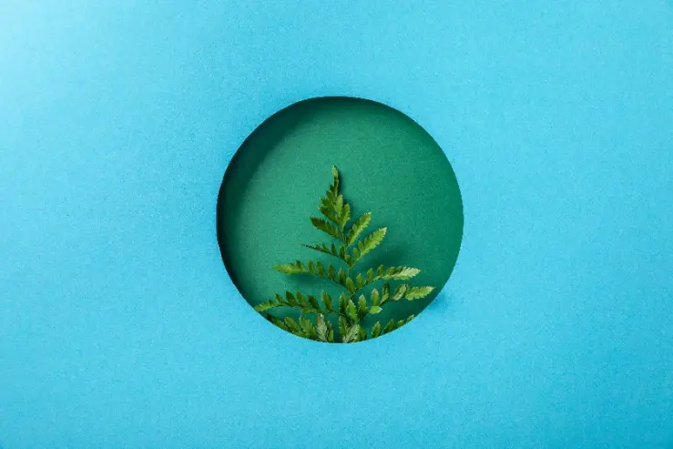 Choosing a Business Growth Agency: What Type of Partner Do You Need?