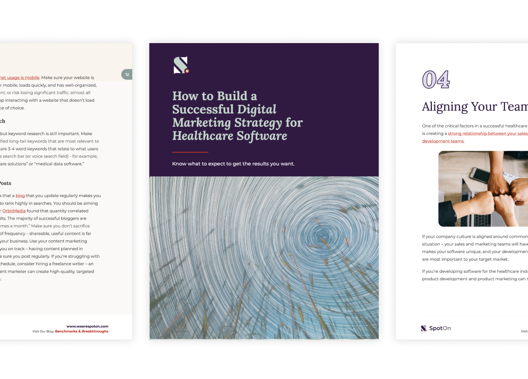 How to Build a Successful Digital Marketing Strategy for Healthcare Software-1