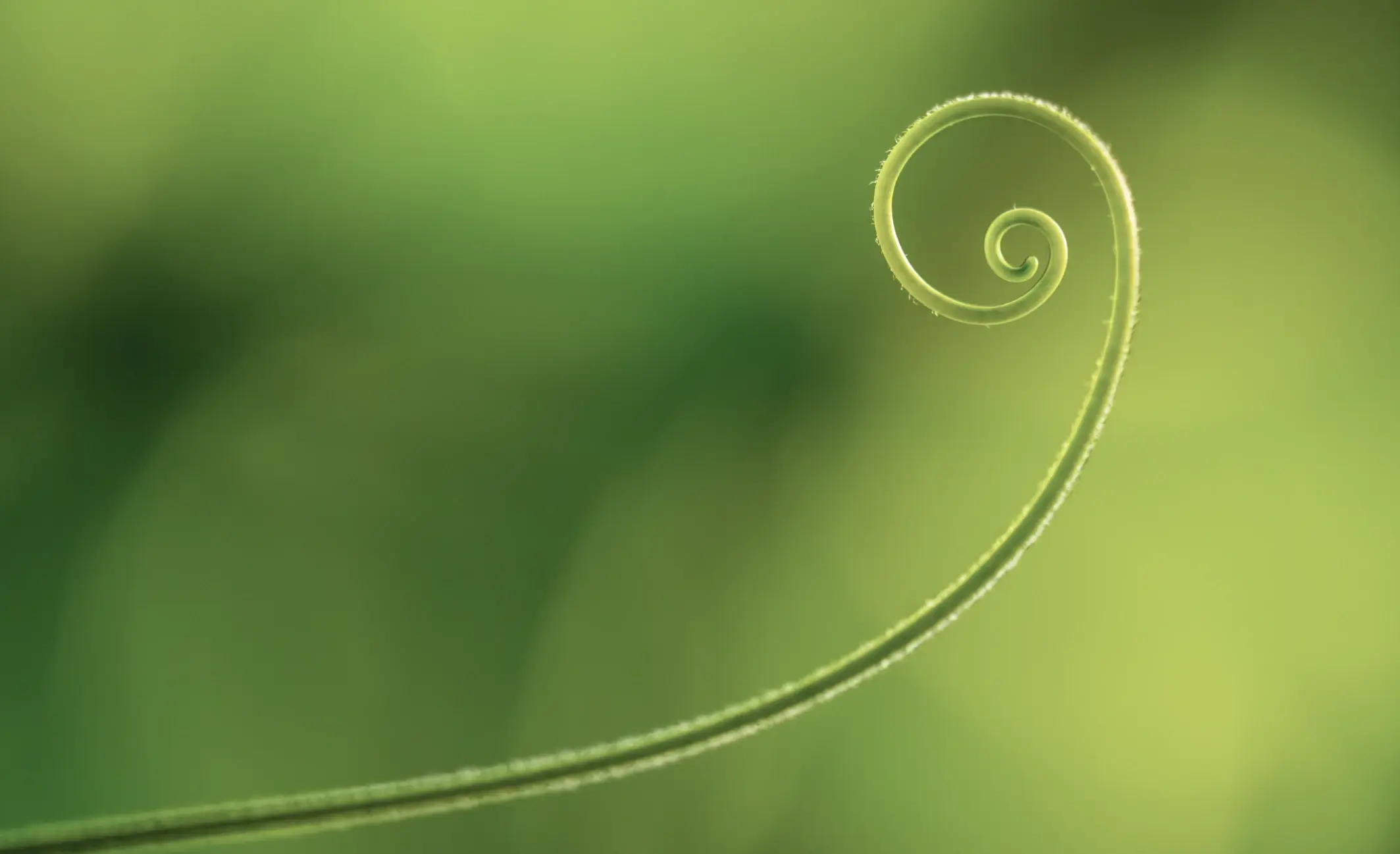 Can a Digital Healthcare Marketing Agency Help Your Company?